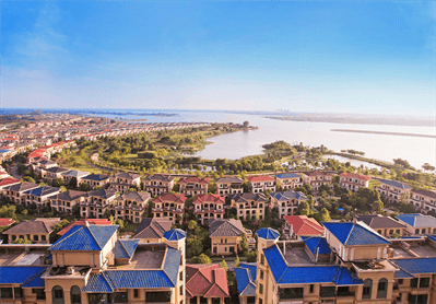 AG8����_AG8���޼��š�(�й���)�ٷ���վ